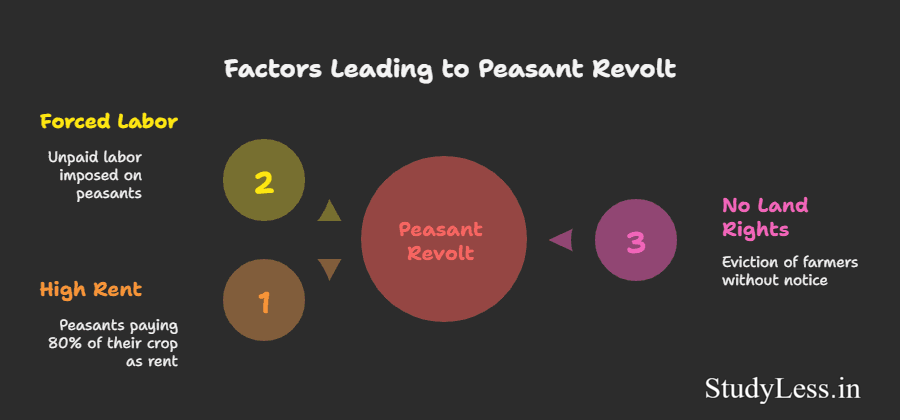 Nationalism in Indian-Factors leading to peasant revolt
