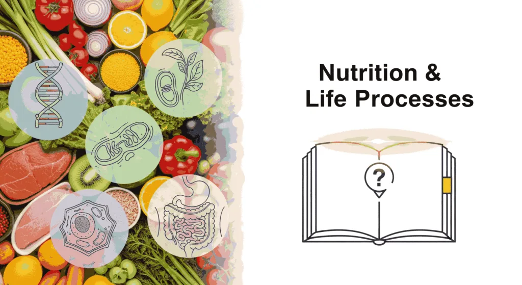 Nutrition In Human Beings 50 Short Answer Questions