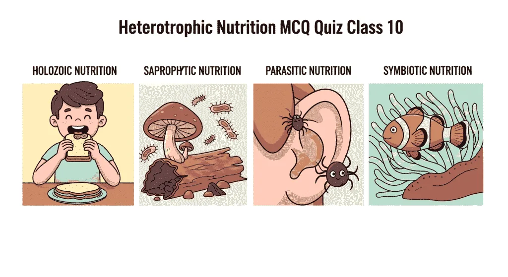 Heterotrophic Nutrition MCQ Quiz