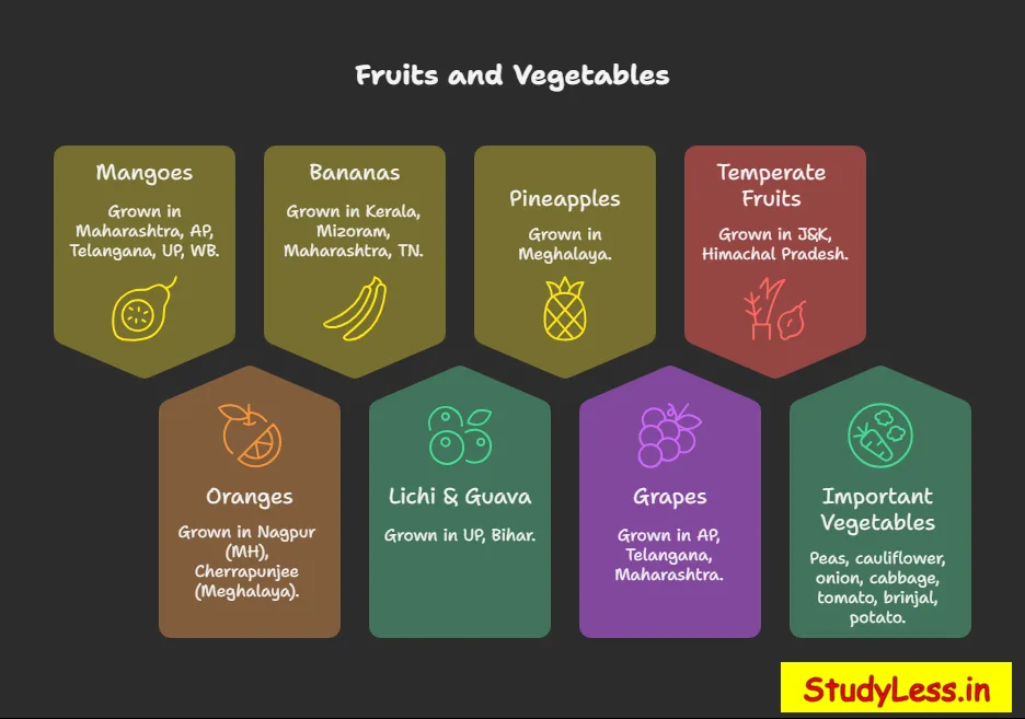 Short Notes Agriculture Class 10/fruits and vegetables