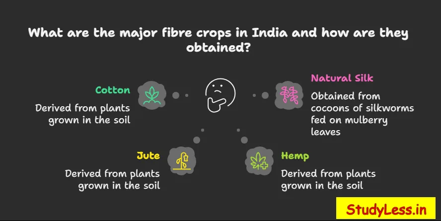 Short Notes Agriculture Class 10/ Fibre crops