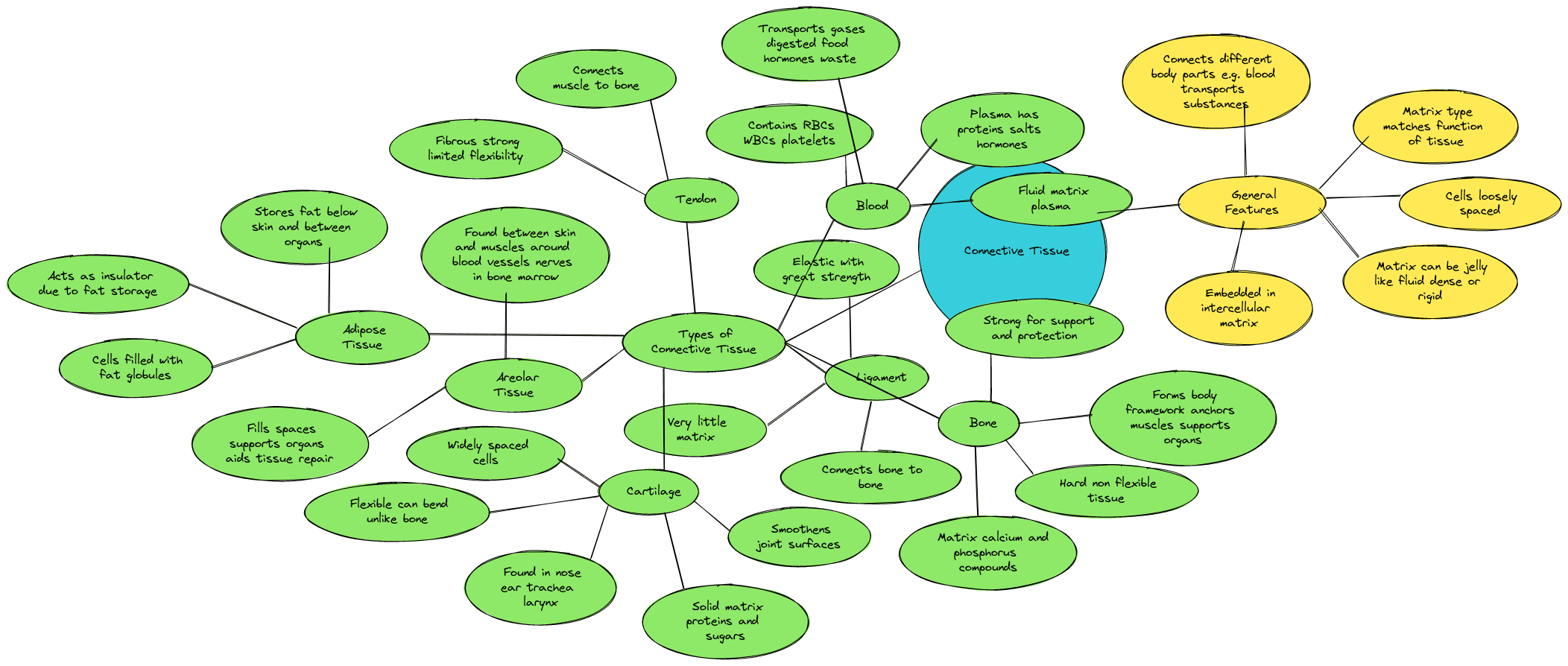 Tissues class 9 Mind Maps| Connective Tissue