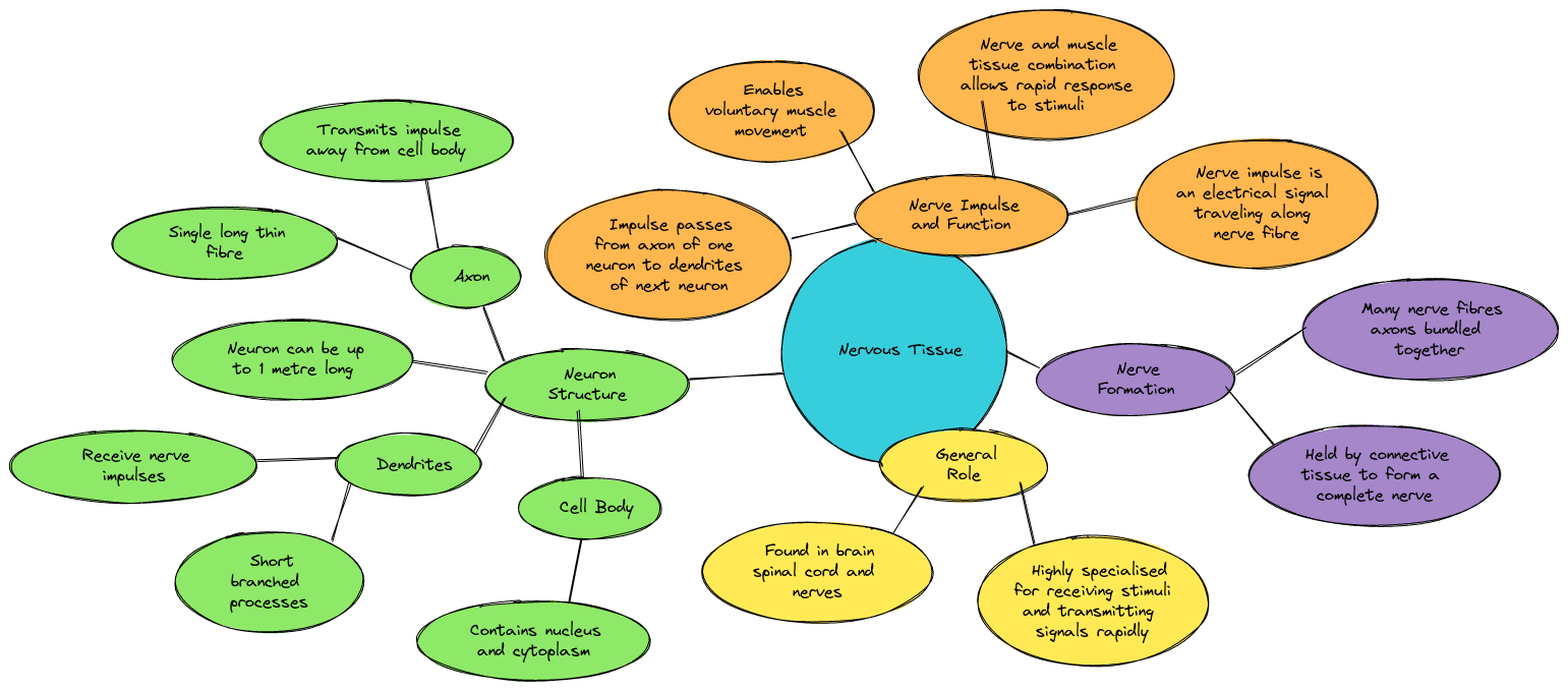 Tissues class 9 Mind Maps