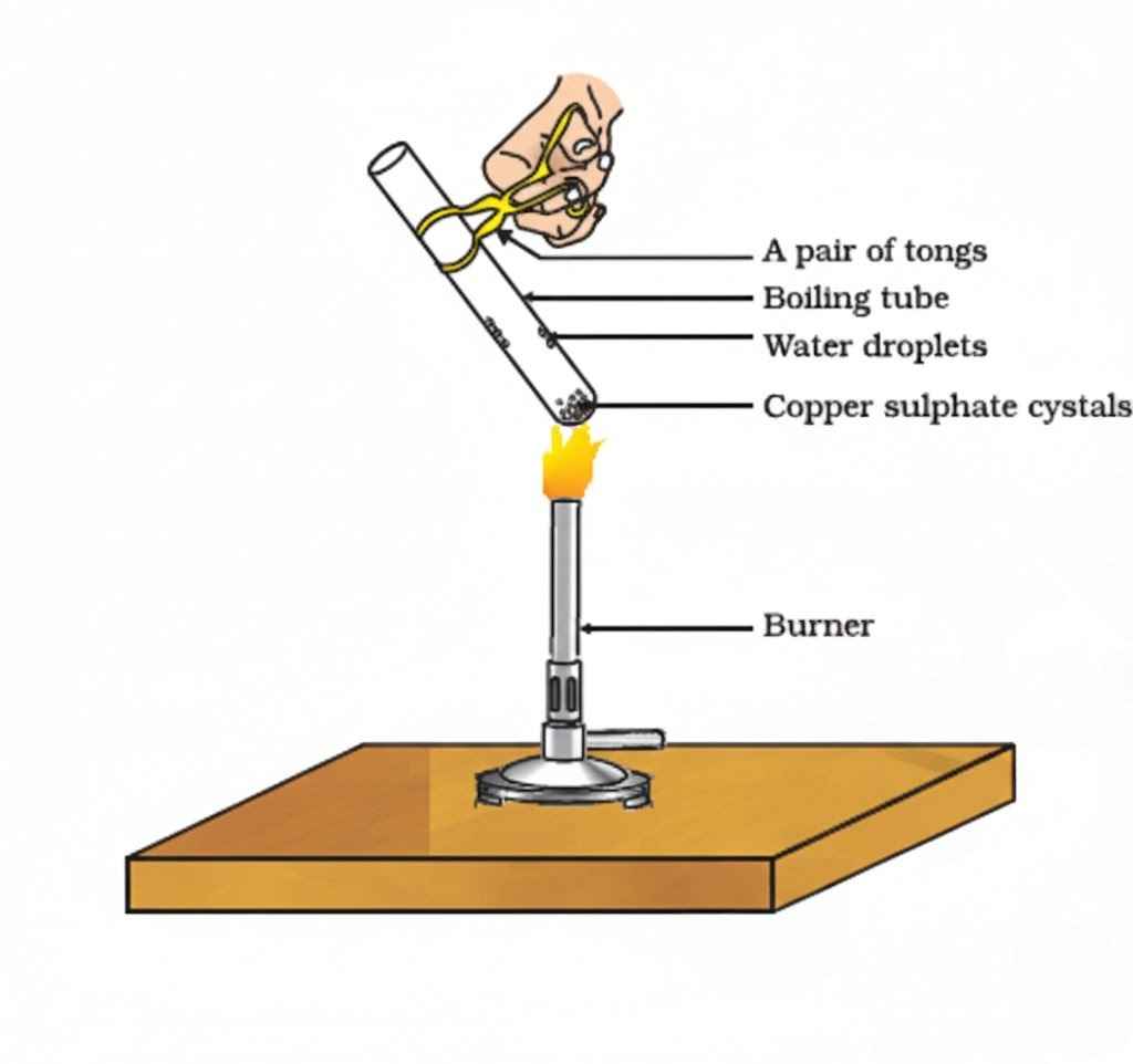 Acids Bases And Salts Short Notes Class 10