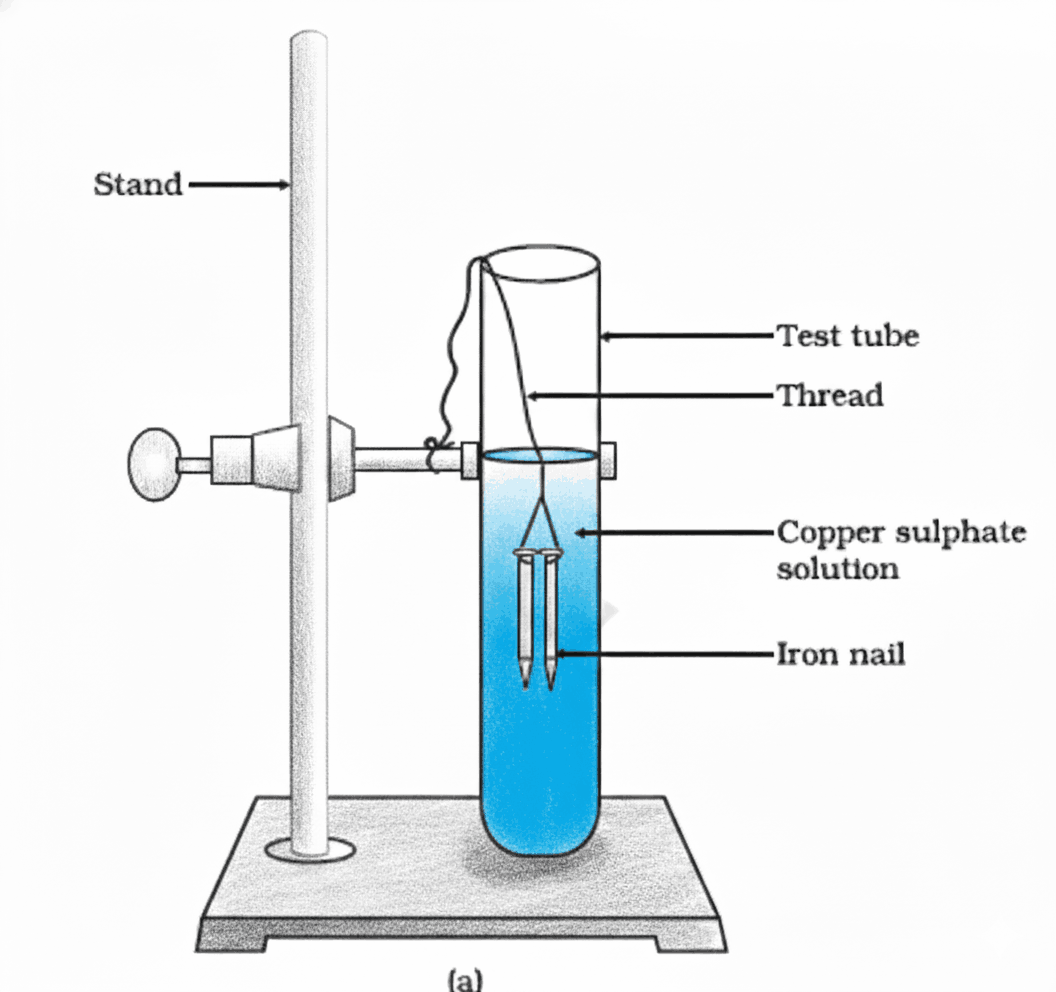 Iron nails in copper sulphate solution