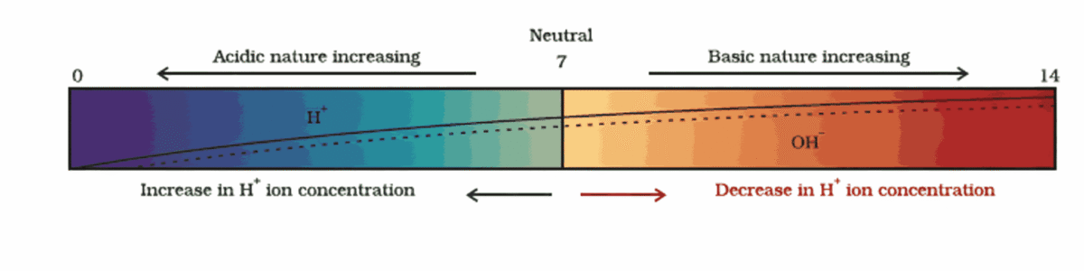 Acids Bases And Salts Short Notes Class 10