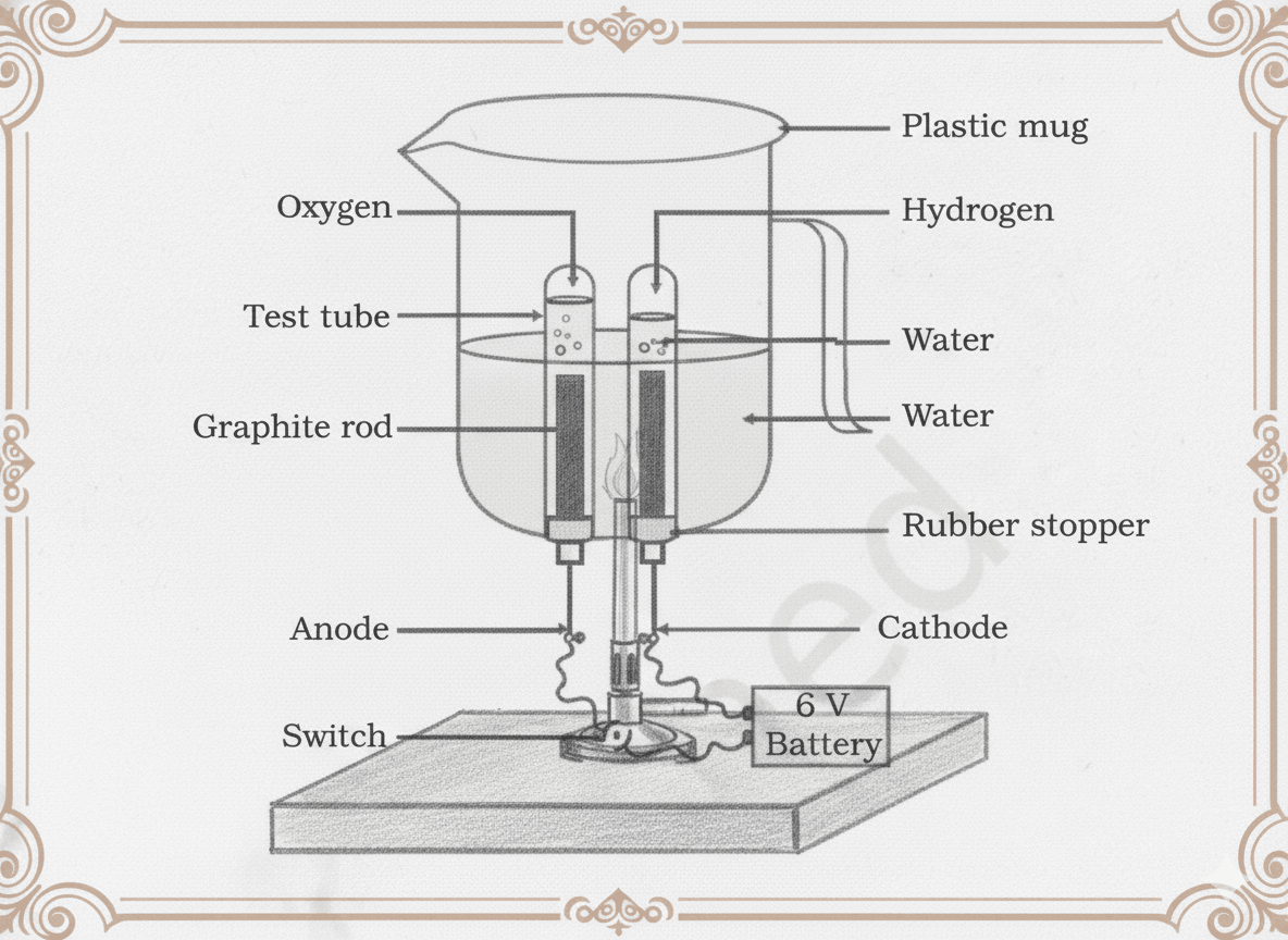 Electrolysis of water setup showing gas collection at electrodes
