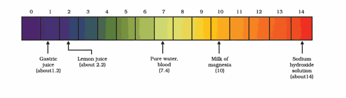 Acids Bases And Salts Short Notes Class 10