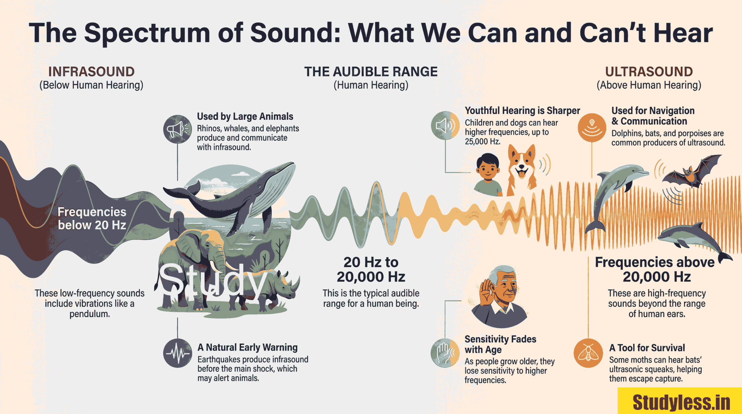 Sound Class 9 Short Notes| Uses of reflection of sound