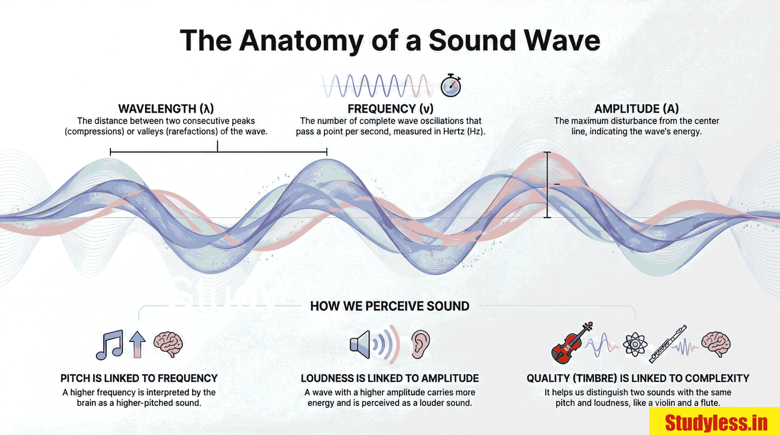Sound Class 9 Short Notes| Anatomy of sound