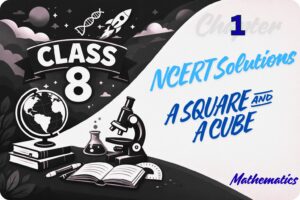 A SQUARE AND A CUBE NCERT Solutions Math Chapter 1