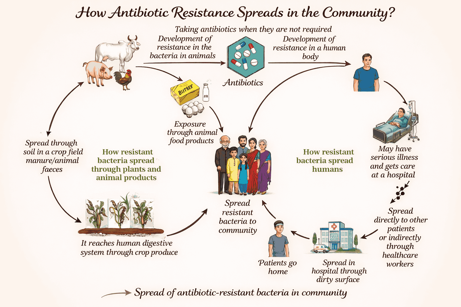 Health The Ultimate Treasure Short Notes Class 8