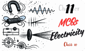 MCQs Electricity Class 10 Chapter 11