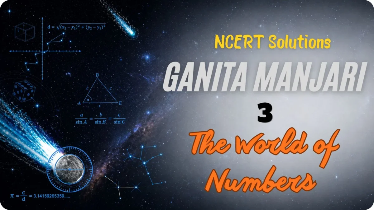 Ch 3 The World of Numbers Solutions