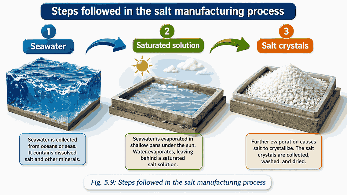 making salt|Exploring Mixtures and Their Separation Ch 5 Notes