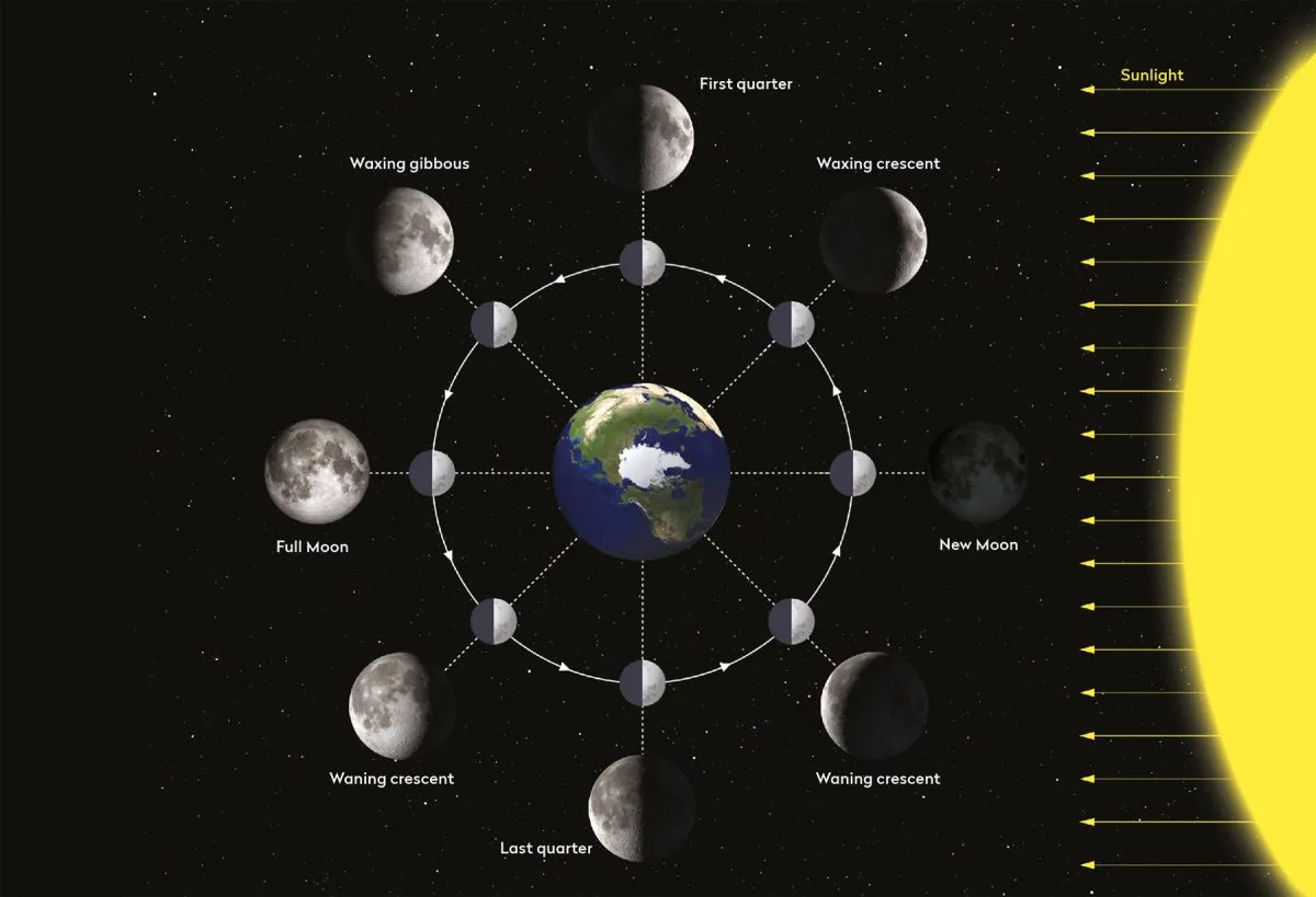 Phases of the moon