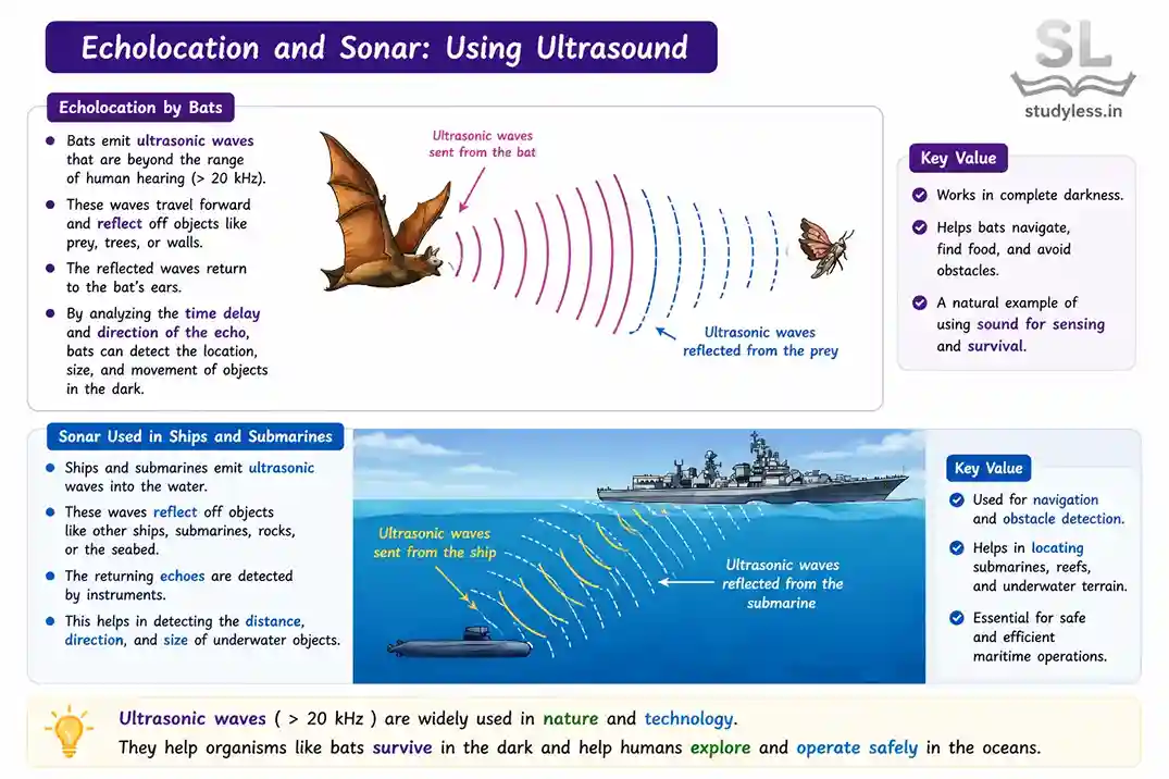 Echolocation by batsa nd Functioning of sonar|Ch 10 Notes Sound Waves Characteristics And Applications