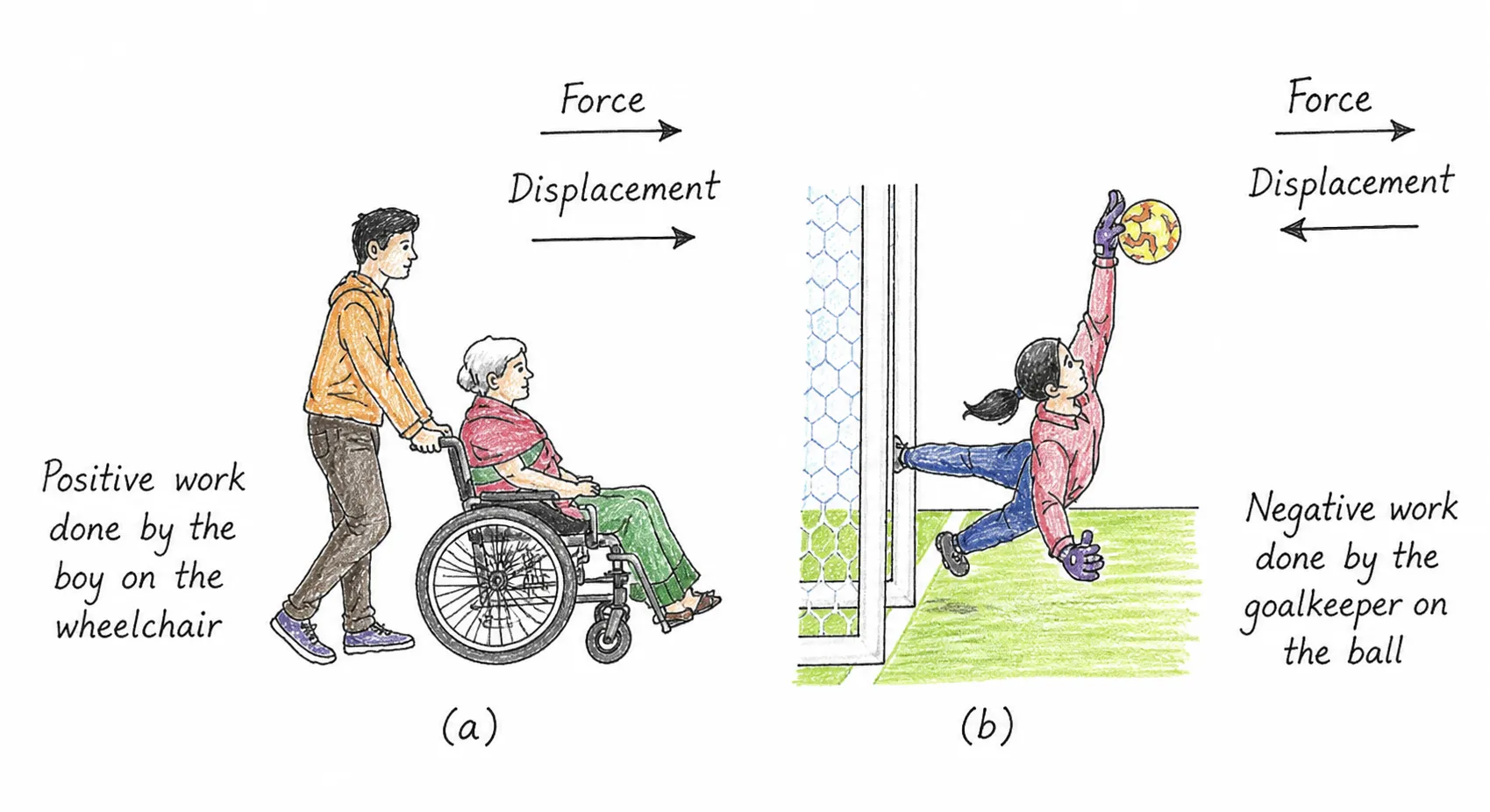 Examples of (a) positive, and (b) negative work done on object| Work, Energy, and Simple Machines Ch 7 Notes
