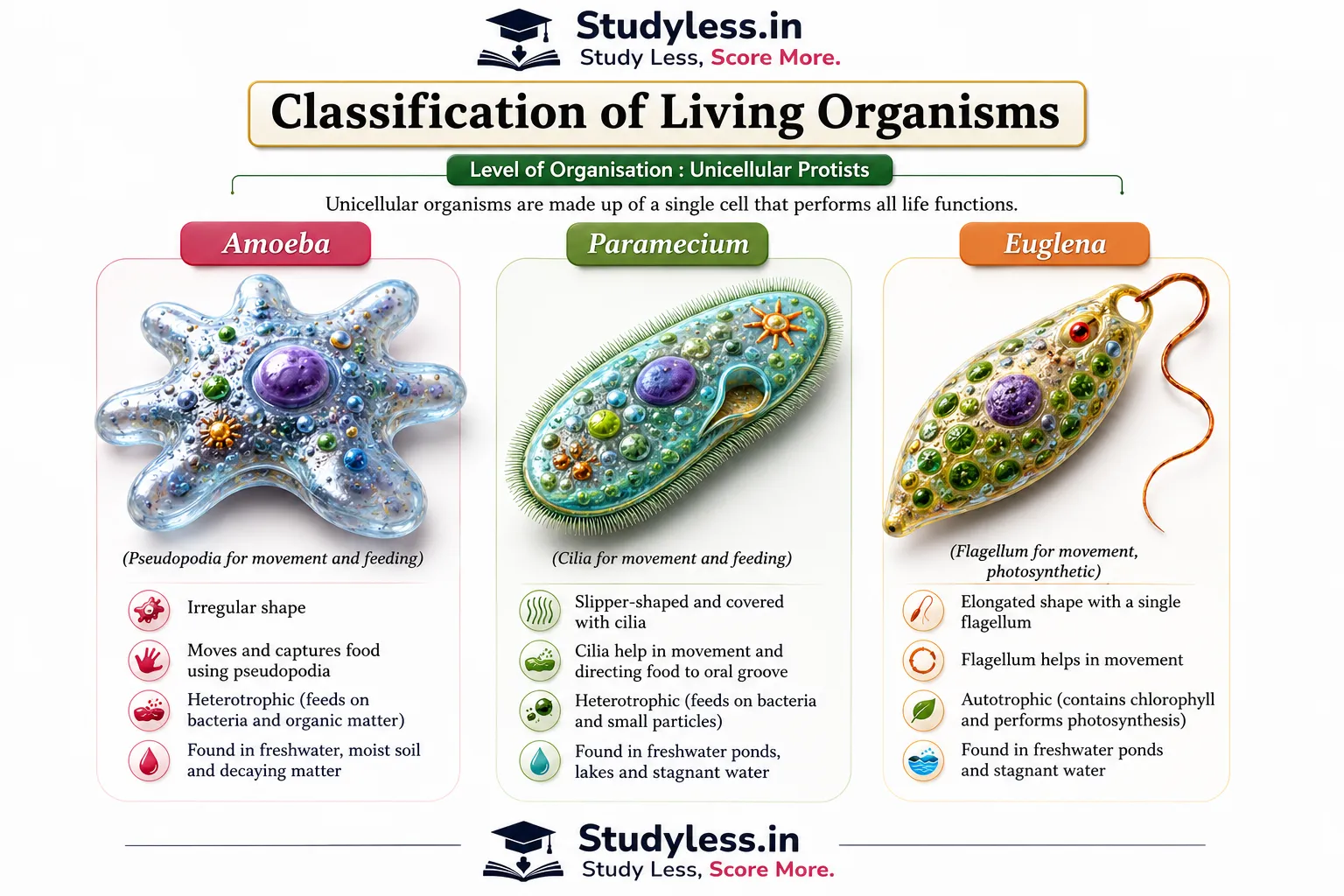 Notes Ch 12 Patterns in Life Diversity and Classification|