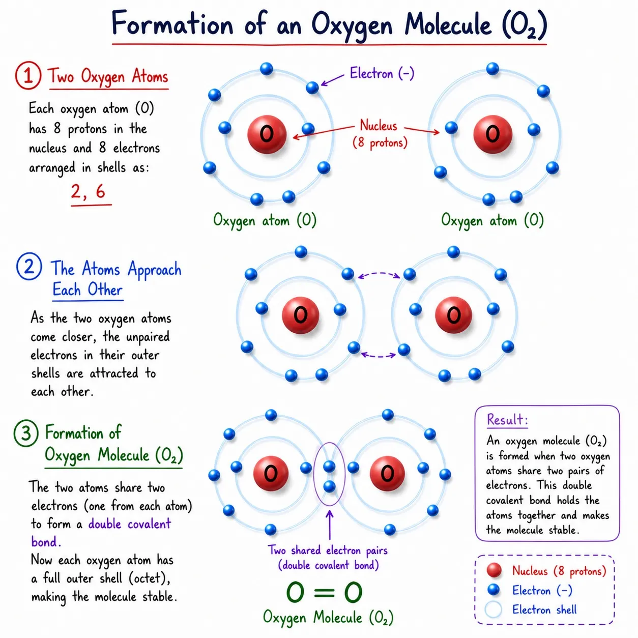 formation of oxygen molecule|Ch 9 Atomic Foundations of Matter Notes Class 9