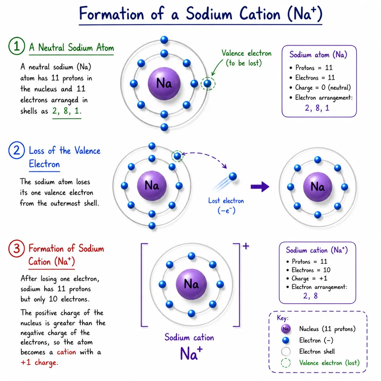 formation of sodium cation|Ch 9 Atomic Foundations of Matter Notes Class 9