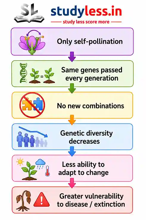 An infographic flowchart detailing the negative impacts of continuous self-pollination over generations. It shows 6 connected steps in colored boxes: 1. Only self-pollination (with a flower illustration), 2. Same genes passed every generation (with a DNA and seedling illustration), 3. No new combinations (with a crossed-out puzzle pieces icon), 4. Genetic diversity decreases (with a declining bar chart and crowd icon), 5. Less ability to adapt to change (with weather and temperature icons), and 6. Greater vulnerability to disease / extinction (with a wilting plant and warning sign icon).