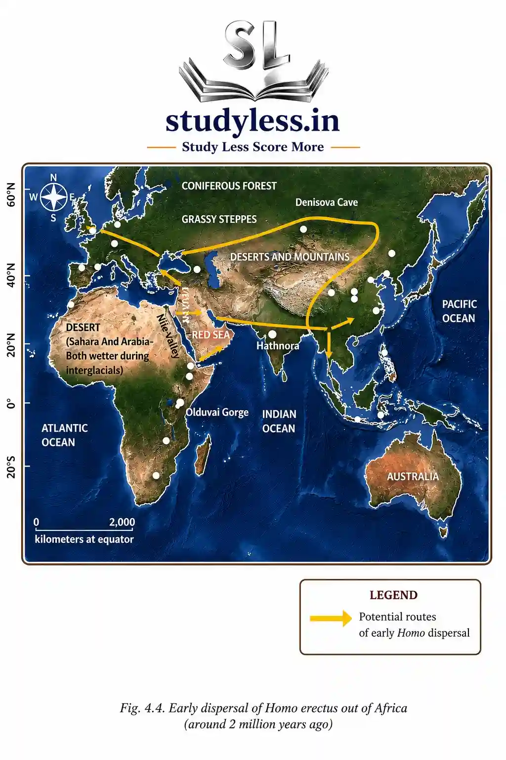 Early dispersal of Homo erectus out of Africa
(around 2 million years ago)| Ch 4 Early Humans and Beginning of Civilisation Notes
