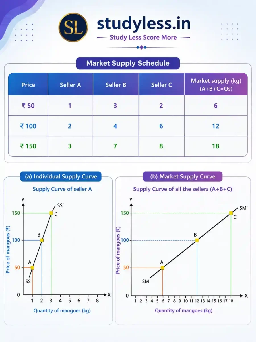 Individual and market supply curve | Ch 9 The Price Puzzle: What Drives the Market Notes Class 9