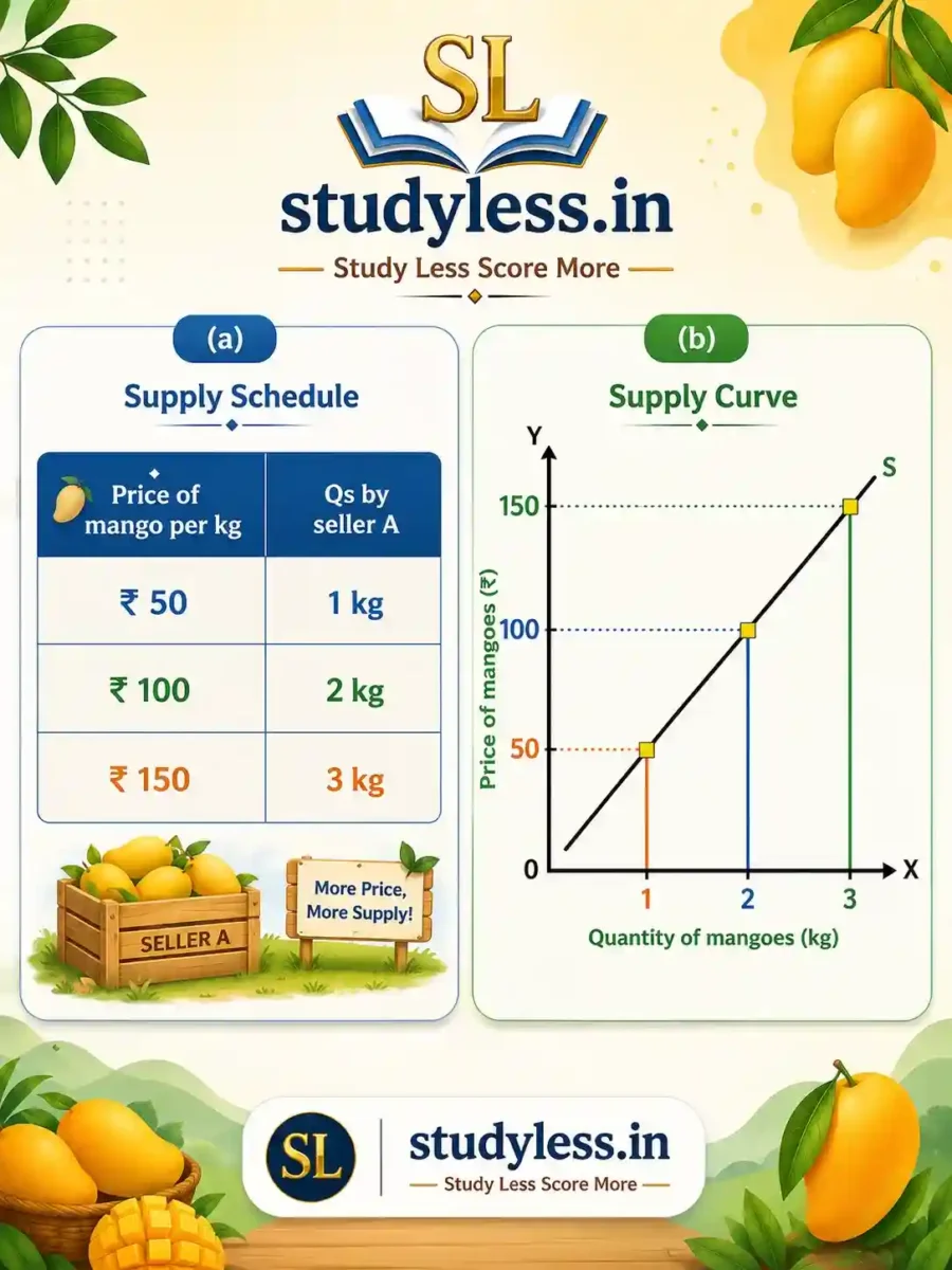 Supply schedule and Supply curve| Ch 9 The Price Puzzle: What Drives the Market Notes Class 9