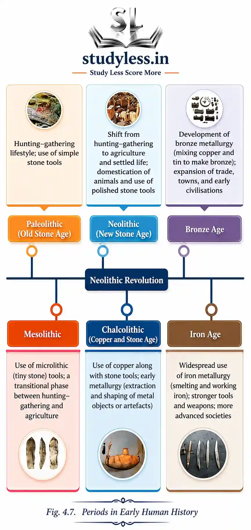 Flowchart infographic breaking down the periods in early human history, illustrating the transition from the Paleolithic (Old Stone Age) hunting-gathering lifestyle using simple stone tools, through the Mesolithic period, to the Neolithic Revolution. It highlights the shift to agriculture, settled life, domestication of animals, and use of polished stone tools, leading into the Chalcolithic (Copper and Stone Age), Bronze Age, and Iron Age.