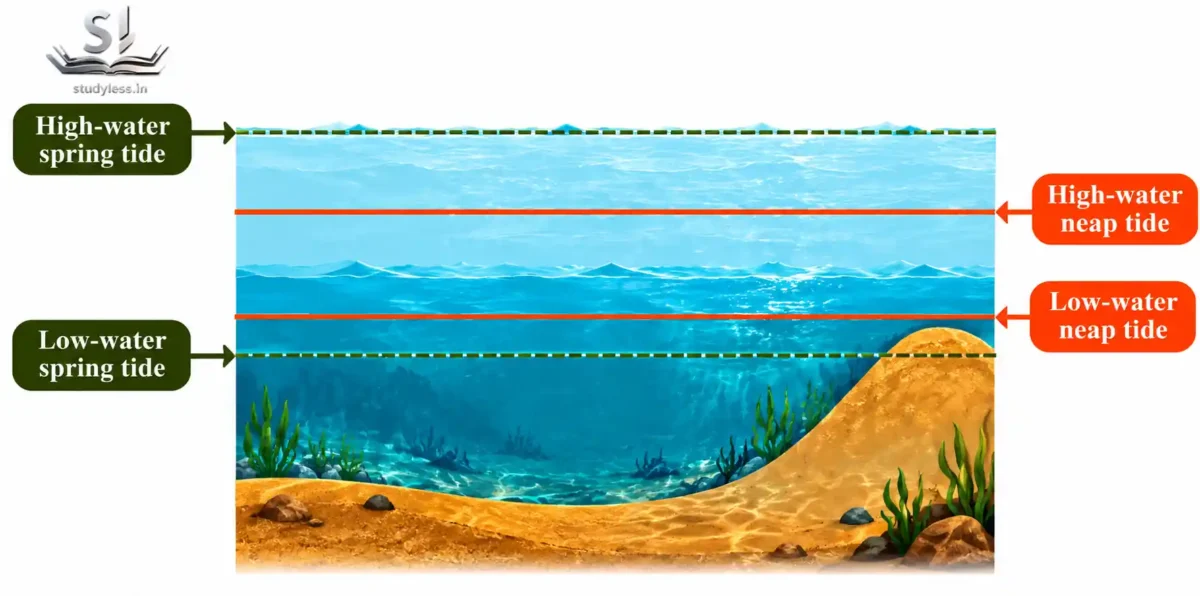 levels of spring and neap tides