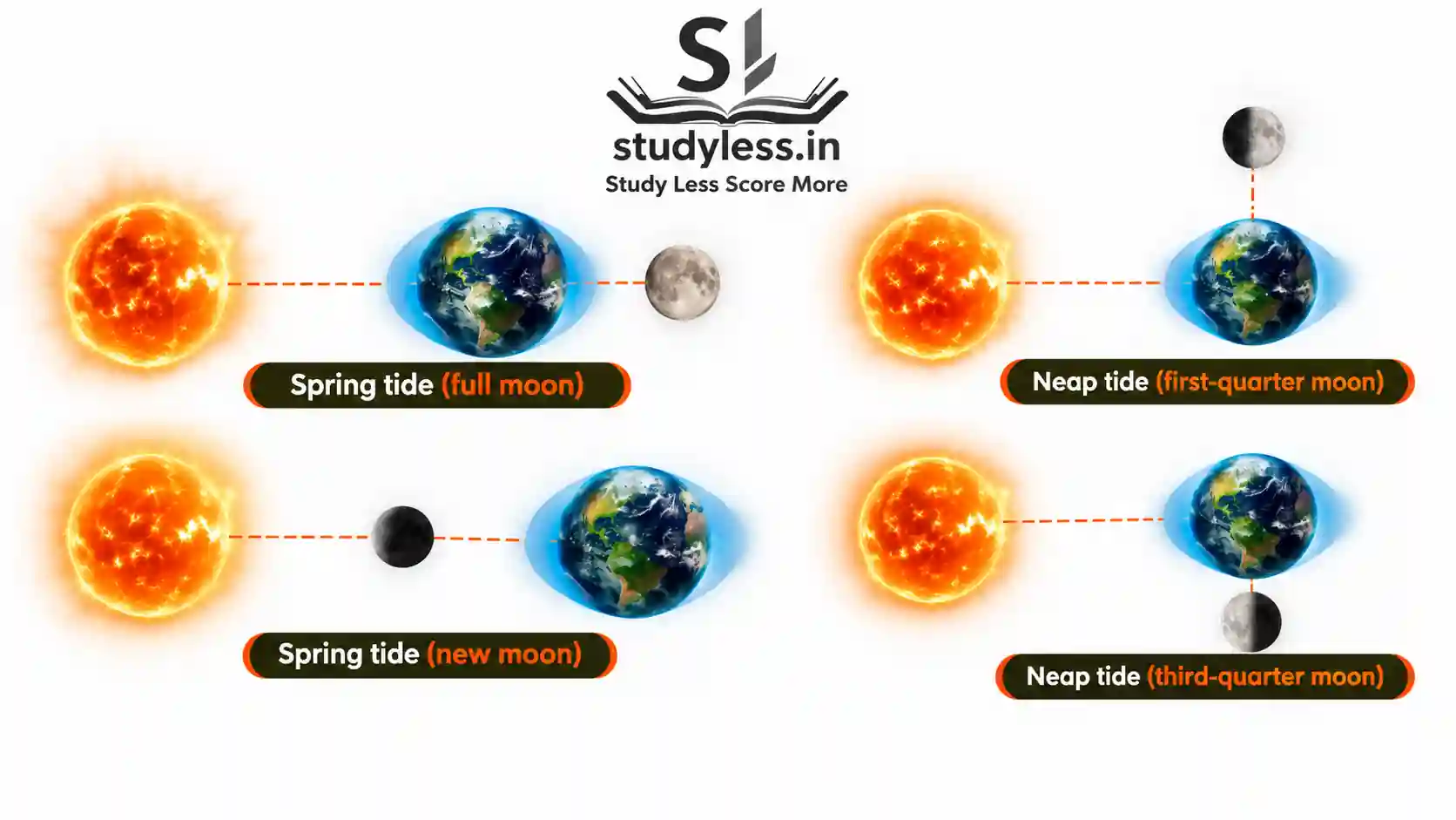 Spring tides and neap tides class 9 